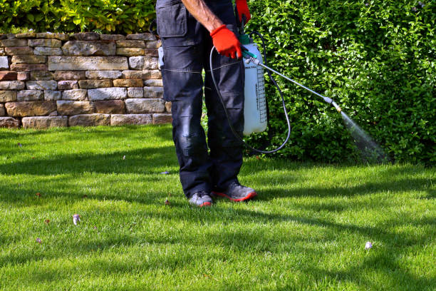 Indoor Pest Control in Windber, PA